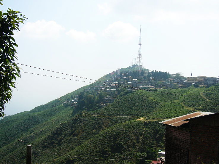 5. Kurseong